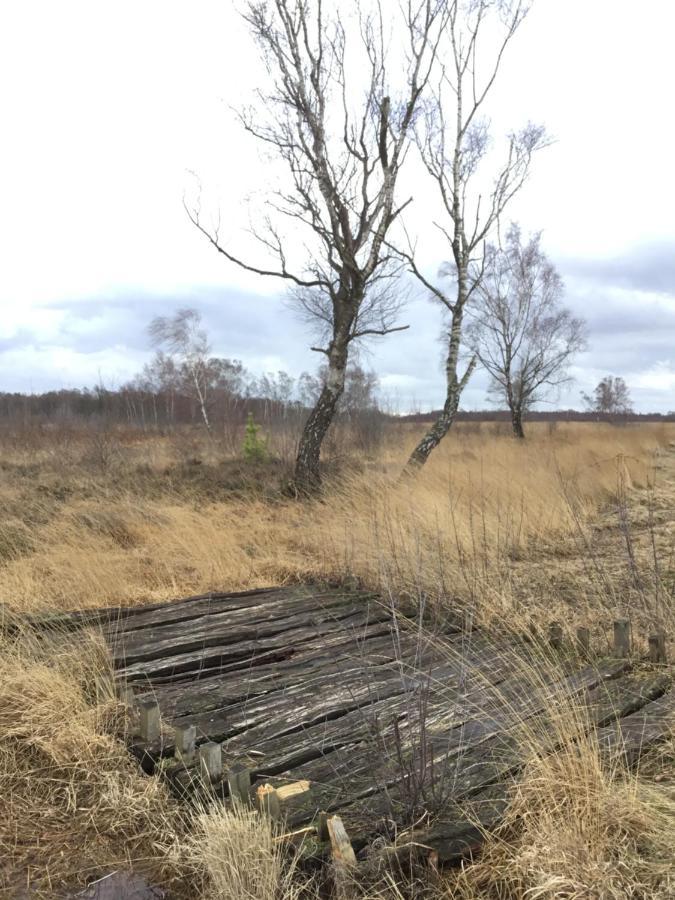 Kranich-Holzferienhaus 'Kleine Auszeit' Rehden Exterior foto